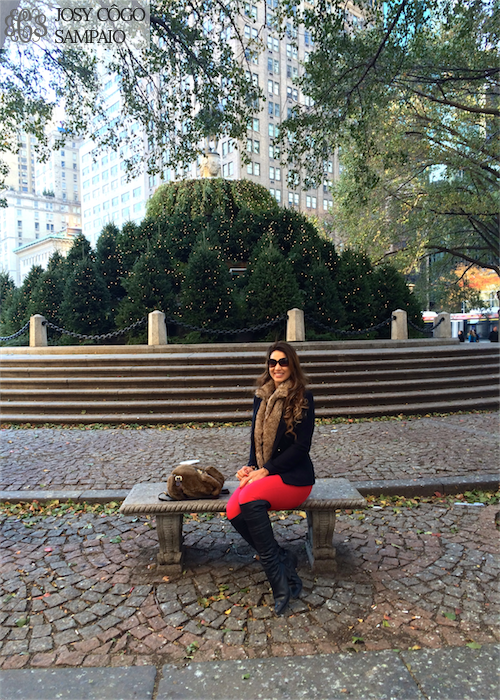 Nova York – outono de 2014